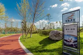 天府新区又一岛图片