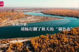 新疆沙雅：胡杨打翻了秋天的“调色盘”图片