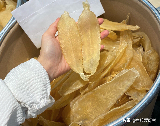 黄花胶与白花胶哪种好 2026年黄花胶与白花胶哪种好一点
