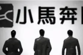一纸对赌，满目荒凉图片