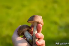 宝宝的包皮可以翻吗？图片