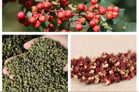 2021年8月花椒行情：青花椒比去年同期上涨约25％、红花椒持平图片
