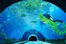 海南三亚的海底餐厅你知道有哪些？图片