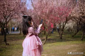 烟花三月下扬州图片