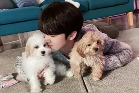 金曜汉犬系男友系列，一起可可爱爱呀 狗狗的白眼真是绝了 哈哈哈图片