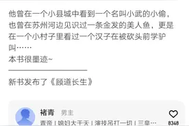 圈内人写圈内事——五本经典华娱网文，娱乐圈的通识宝典图片