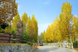太行天路，五彩斑斓，峡谷如画，秋叶如诗图片