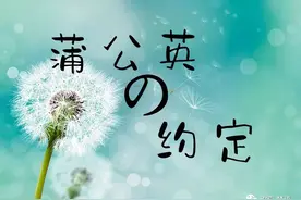 蒲公英的约定图片