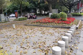 街拍福建首个“清零”设区市图片