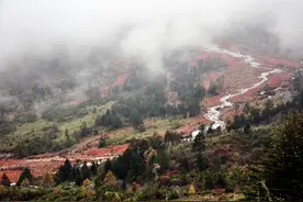 只长五年，死而复生，川西高原的红石滩是这样形成的图片