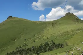 秦岭的最后一片圣土，鹿角梁图片