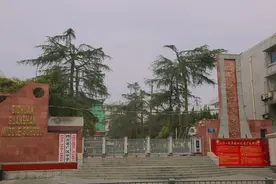 百年名校班主任被举报性骚扰，“摸头拉手是常态”？图片