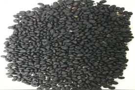 知道吗，补骨脂不补骨，它助补骨！图片