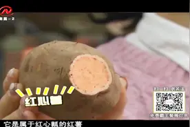 黄心薯红心薯傻傻分不清？挑选红薯应该注意以下事项！视频封面