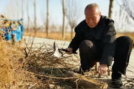 95年山东老农砍柴，挖出三条腿文物，后续发现340多件国宝图片