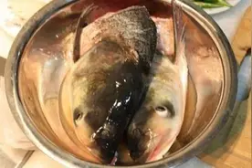 经常吃鱼头，能补脑提高智力？营养师却说：2种鱼头不能轻易碰图片
