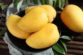 芒果种植关键期浇水很重要，促进发芽、开花、坐果，增产增质图片