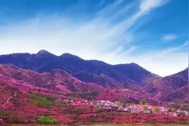 距离潍坊城区2小时！采摘、露营、赏美景！尽享山间慢生活！图片