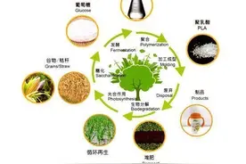后石油时代的生物材料——聚乳酸（PLA）图片