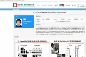 小学生“抗癌”论文，像癌细胞一样给社会带来伤害图片