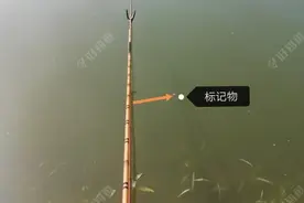 夏季流水作钓的技巧图片