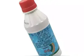 草铵膦与草甘膦，一字之差怎样选择？图片