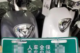合法吗？郑州电动车的“绿牌”冒出新版本，有经销商称“被查可以找我”图片