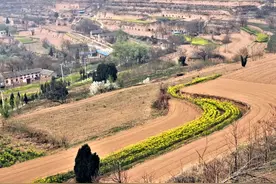 山西六旬夫妻的春耕：药材地里摸爬滚打，两亩半地除草干了七天图片