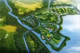 厉害！合肥投资4.5亿修建湿地公园，规划面积9114.6公顷图片
