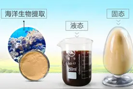 教你如何选择正确的鱼蛋白肥料图片