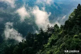 送烈士英灵回归军营：不再孤寂，永得安息图片