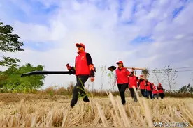 最新方案印发！合肥全年全域秸秆禁烧，重点时段24小时巡查图片