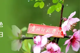 官宣！贵州师范学院毕业年级学生返校时间定了图片