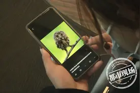 女子救助“不速之客”反被抓伤，林业局：凤头鹰在江西很少见图片