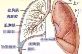 男子玩游戏连输4小时“把肺气炸了”？别不信，肺真的能气炸图片