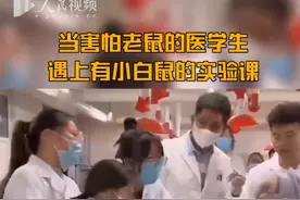当怕老鼠的医学生课上抓起小白鼠图片
