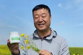 蜂王浆季节不同口感会不同吗？蜂王浆口感怎么样？图片