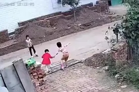 河北河间3名女孩溺亡坑塘图片