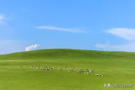 20天7300公里 天津—呼伦贝尔—阿尔山—锡盟路线及费用图片
