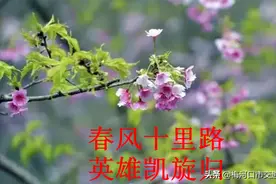 护航！敬礼！白衣执甲凯旋归 梅河口交警最高礼遇迎接援鄂英雄回家图片