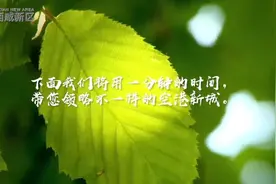 西咸新区空港新城 一分钟可以很美图片