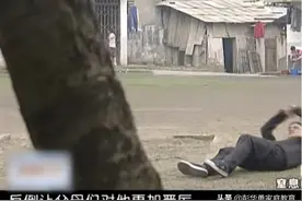 15岁厌学网瘾孩子弑母，叛逆不是小事，错误方法会步入深渊图片