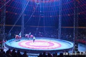 洛阳洛邑古城马戏嘉年华精彩演出图片