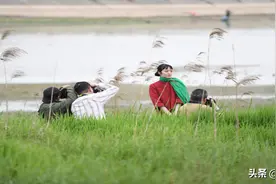 人间最美四月天，合肥崔刚艺术村成为摄影爱好者采风拍摄最佳地图片