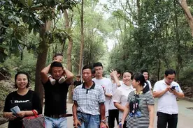 姑死了舅走了，余下老表不来了，亲戚关系真的这么脆弱吗？视频封面