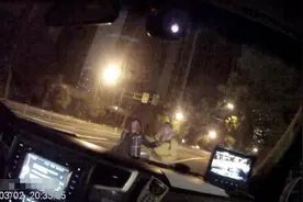 遛狗时两条狗发生了“不可描述之事”，杭州两男子为了狗的“打胎费”动起拳头图片