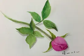 玫瑰花这样画，既简单又立体图片