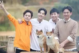 在韩国出道，因缺席《向往4》又被挂念，韩网友称他为音乐鬼才图片