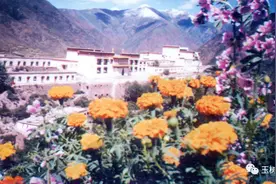 【地震10年·统战心声】玉树重建10年，宗教领域全面落实民生保障政策聚民心图片