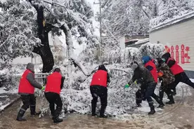 晋州总十庄镇150名志愿者齐上阵助力疫情防控图片